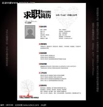 你的簡歷就靠這個詞提升檔次